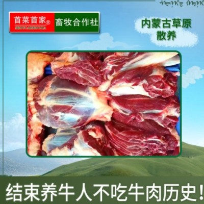 首菜首家 内蒙黄牛肉花牛腱1斤/件 五香牛肉冷冻食品生牛肉批发