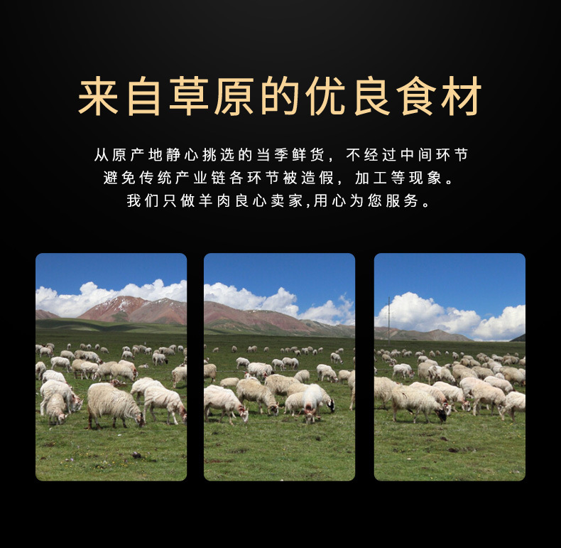 羊肉串,羊肉串批发,内蒙古羊肉串,羔羊羊肉串,羊肉,内蒙古羊肉,羔羊羊肉