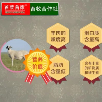 首菜首家内蒙羊肉串烧烤食材制定鲜羊肉牛肉干串冷冻食品低价冲量图2
