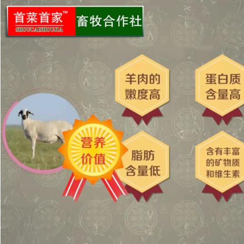 首菜首家批发内蒙古果木烤羊腿2.3斤/袋即食烧烤食材预制菜烤羊腿