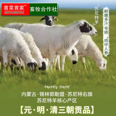 首菜首家 内蒙苏尼特羊肚包肉1斤/件羊后腿肉冷冻食品羔羊肉批发