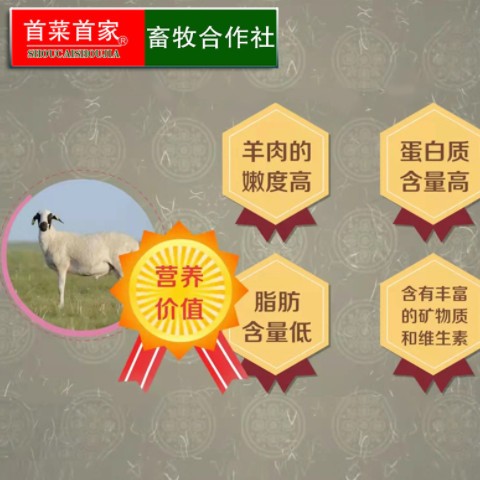 首菜首家内蒙苏尼特纯羊肉肠烧烤食材零添加冷冻食品蒙古肉肠批发