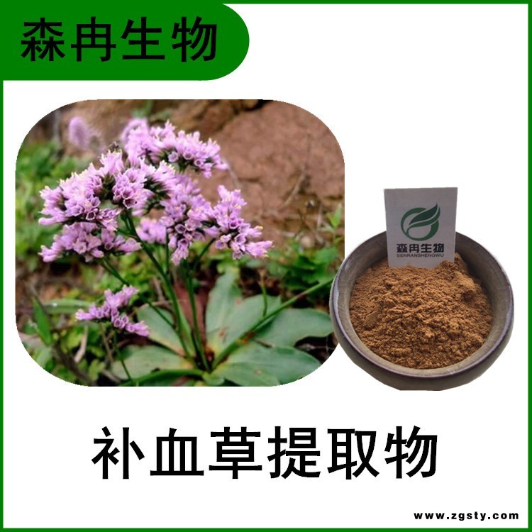 森冉生物 补血草提取物 补血草粉 比例提取 厂家直销 原料粉