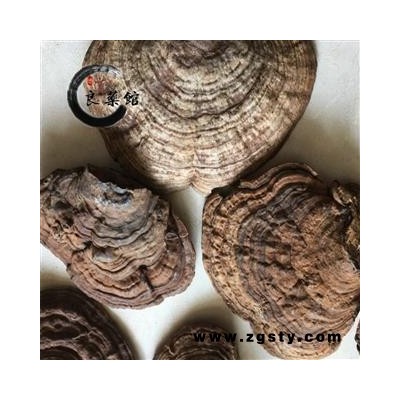灵芝 海南平盖灵芝 野生灵芝 药典标准 地道良药馆1000克直销 品种齐全 一站购齐