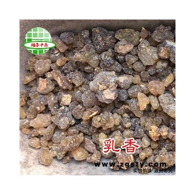 乳香 原乳香 产地 广西壮族自治区 买好药找娟子