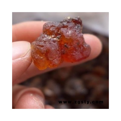 诺源药材行桃胶 各种规格齐全