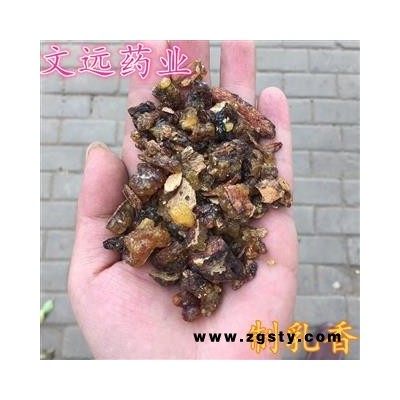 乳香 选 制乳香 产地 云南省玉溪市市辖区
