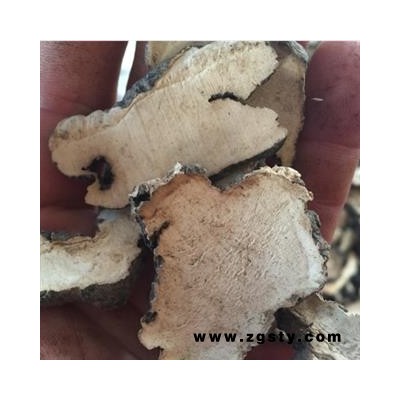 瑞森药材行猪苓 片子 产地 黑龙江省