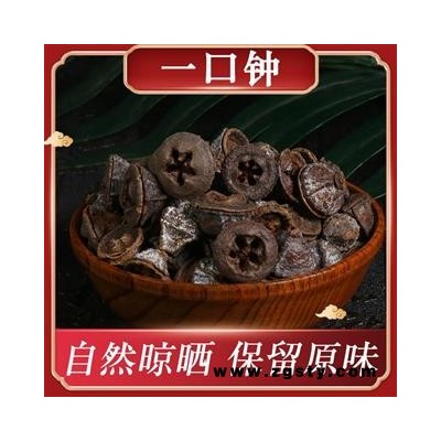 可检测一口钟别名桉树果一口盅金钟菩提蓝桉红喇叭花扣子七胜利果