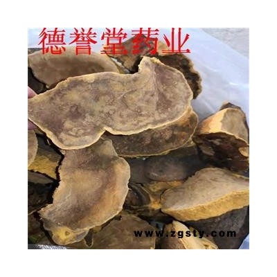 桑黄 西藏桑黄灵芝 林芝桑树桑黄 西藏野生桑黄 批发零售可代发