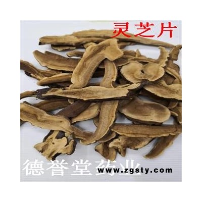 灵芝 统 灵芝片 产地 山东省 德誉堂药业批发各种中药材