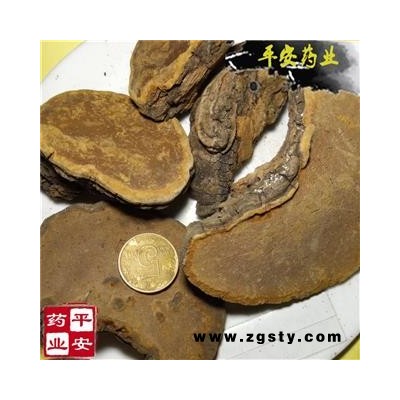 平安药业 桑黄 正品野 桑臣 树鸡 胡孙眼 桑黄菰 桑黄菇 针层孔菌 梅树菌