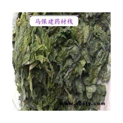 昆布 统货 产地 山东省