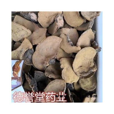 桑黄 东北桑黄 桑黄灵芝 德誉堂药业批发各种中药材