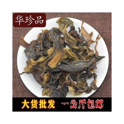 昆布 01 昆布 统 产地 广西壮族自治区桂林市市辖区