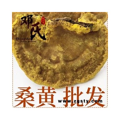 桑黄500g 西藏金边桑树桑黄灵芝散装零售 中药材批发 量大从优