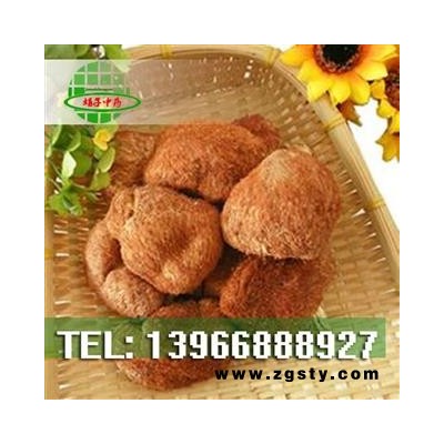 娟子中药 猴头菌 猴头菇 产地 浙江