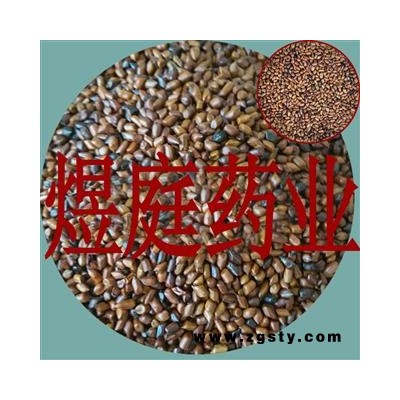 煜庭药业 决明子 炒决明子 炒决明籽