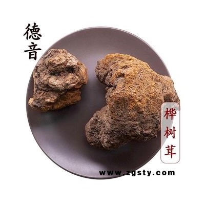 【满包邮】桦树茸 统 又称：桦褐孔菌、白桦茸、桦树菇