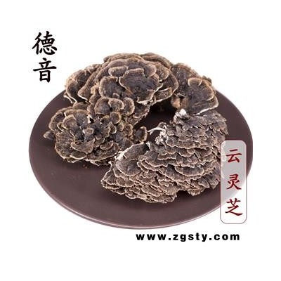 【满包邮】云灵芝 统