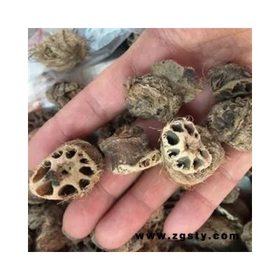 安祁名药藕节 生藕节
