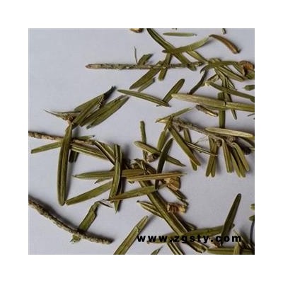 瑞森药材行三尖杉 三尖杉叶 尖松 岩杉