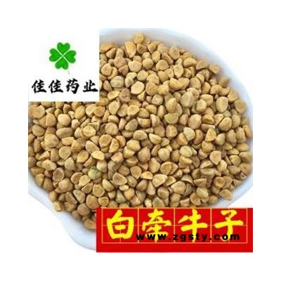 牵牛子 牵牛子白丑好统货 黄丑 二丑 产地直销供应大货 产地 山东省