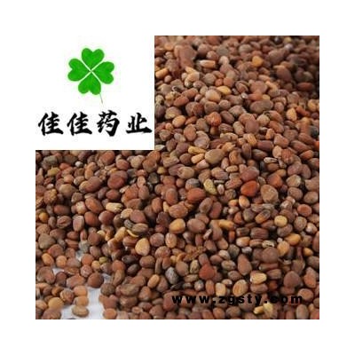 莱菔子 自己炒莱菔子选货 产地 山东省【批发零售各类中药材】炒莱菔子 炒萝卜籽 大货批发