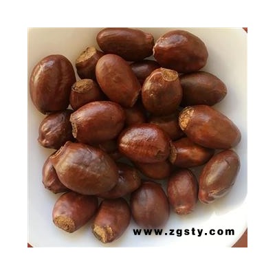瑞森药材行荔枝核 新货 荔仁 枝核 大荔核