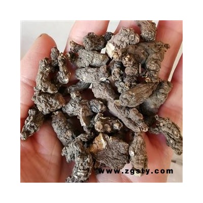瑞森药材行天葵子紫背天葵子千年老鼠屎今年新货选货