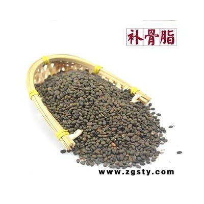 中药材 补骨脂可磨补骨脂粉胡韭子破故纸黑故子