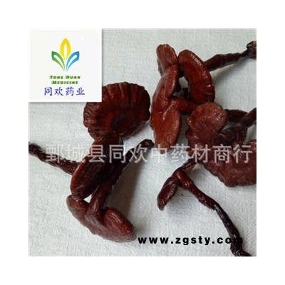【木灵芝个】@【同欢药材】中药材批发供应  规格齐全 量大从优 产地 吉林省
