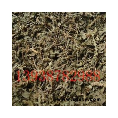 车前草，车前草片，统段， 野生， 河南产新货，要量大价格另议