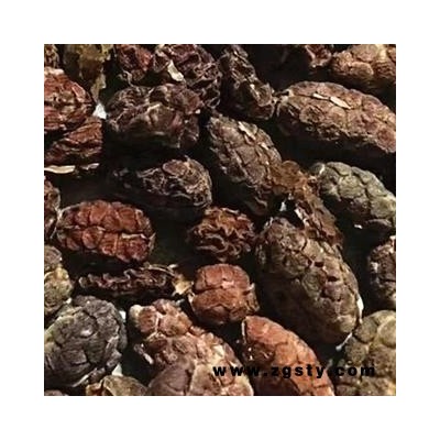 砂仁 进口砂仁米好统货 有少许自然碎米 一分价一分货 新货 供应各种中药材 产地 海外