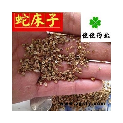蛇床子 蛇床子净货 供应各种中药材 冷背货 矿石 产地 四川省