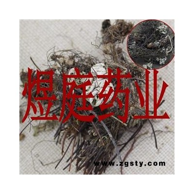 煜庭药业 通经草 挖耳草 半支莲 正品