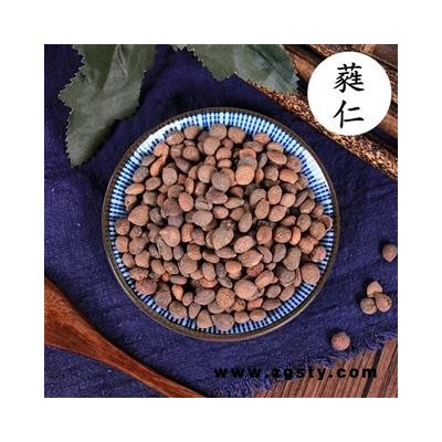 中药材 芮仁 蕤仁 蕤核 蕤子 棫仁 美仁子 芮仁肉