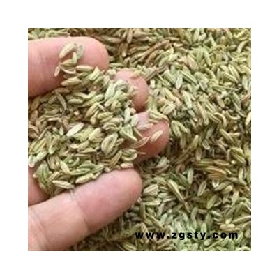 诺源药材行中药材正品香料 优质小茴香 茴香籽 炒菜炖肉