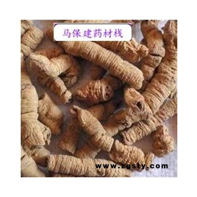 巴戟天 精特选  产地 广东省