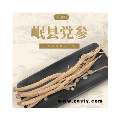 甘肃党参片地产直供 产地定做订购各类规格饮片及个子 优质保证大货可提供专票