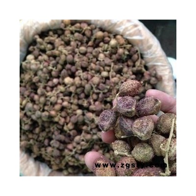 诺源药材行阳春砂仁 春砂仁 正品优质
