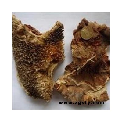 新辉药业正品中药材 向日葵花盘 统 产地 河北