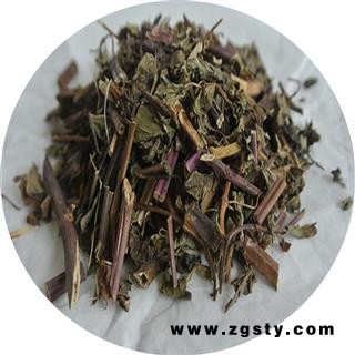 薄荷 红杆薄荷 统片 产地 四川省