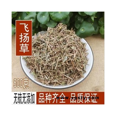 野生中草药材大飞扬乳籽草飞扬草大乳汁草节节花 马鞍叶羊蹄甲