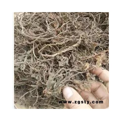 新辉药业正品石蝉草  火伤叶  胡椒草