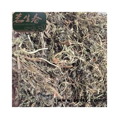 鹅不食草 统 产地 福建省 茗生春药材总公司 一手货源 7天无理由退换