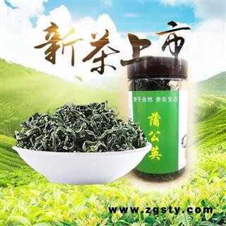 蒲公英茶野生蒲公英选货非家种养生茶甘肃