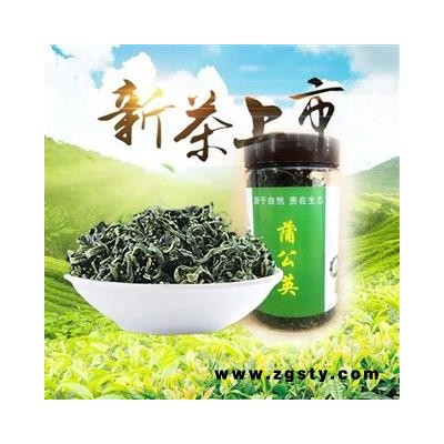 蒲公英茶野生蒲公英选货非家种养生茶甘肃