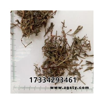 萹蓄 扁竹 扁茿 畜辩 扁蔓 扁蓄 地扁蓄 编竹 扁畜 粉节草 道生草 扁竹 扁竹蓼 乌蓼 大蓄片 路柳 疳积药 斑鸠台 蚂蚁草 猪圈草 桌面草 路边草 七星草 铁片草 竹节图1