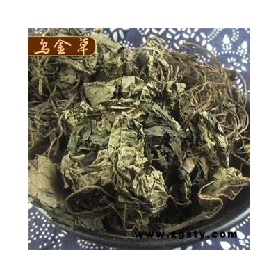 乌金草（又名：大乌金草、毛乌金、乌花草、土细辛、水细辛、大细辛、白三百棒） 产地重庆市巫山县 冷备野生中药材